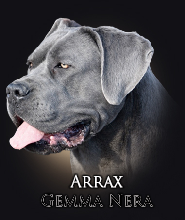 arrax-iko