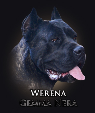 iko-werena