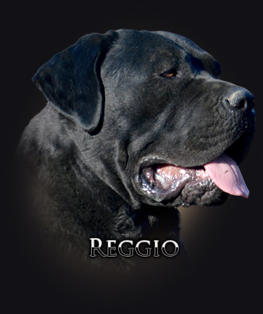 regio-iko